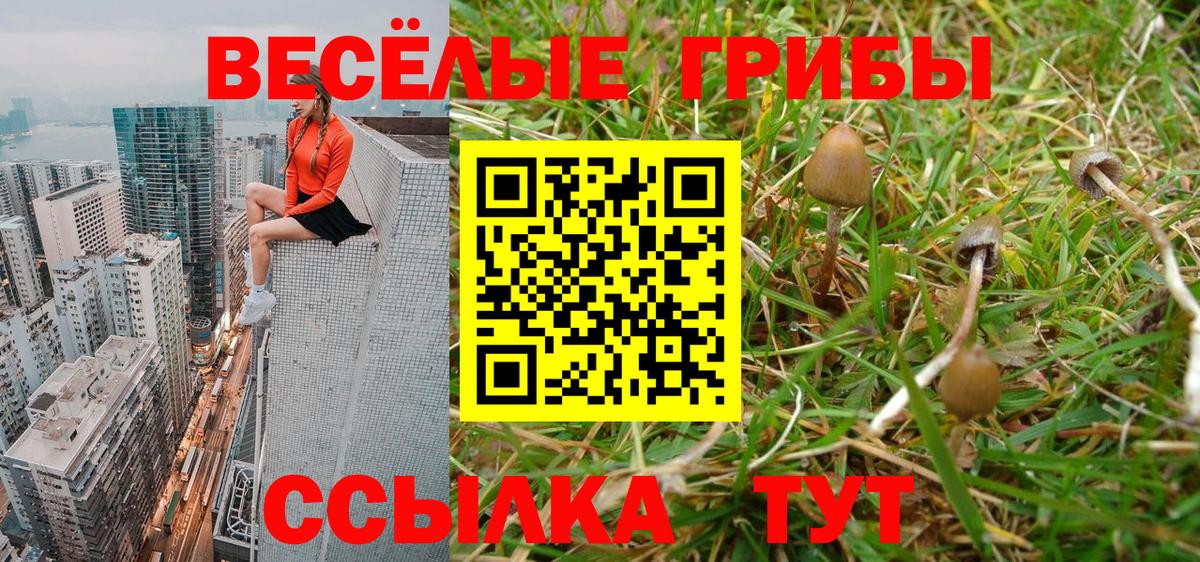 Псилоцибиновые грибы ЛСД  Вход с VPN  Обь  Галлюциногенные грибы мухоморы 